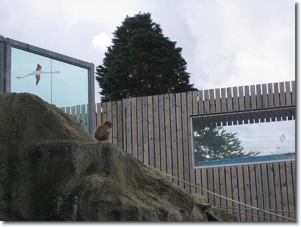 Diapositiva siguiente